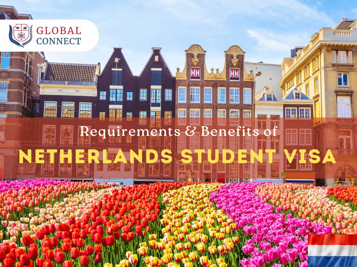 Netherland Student Visa: Requirements for Pakistani Students in 2024